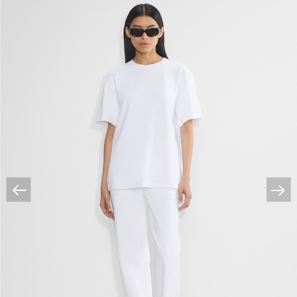 Aritzia Babaton InterLock Cotton Pegasus T-Shirt